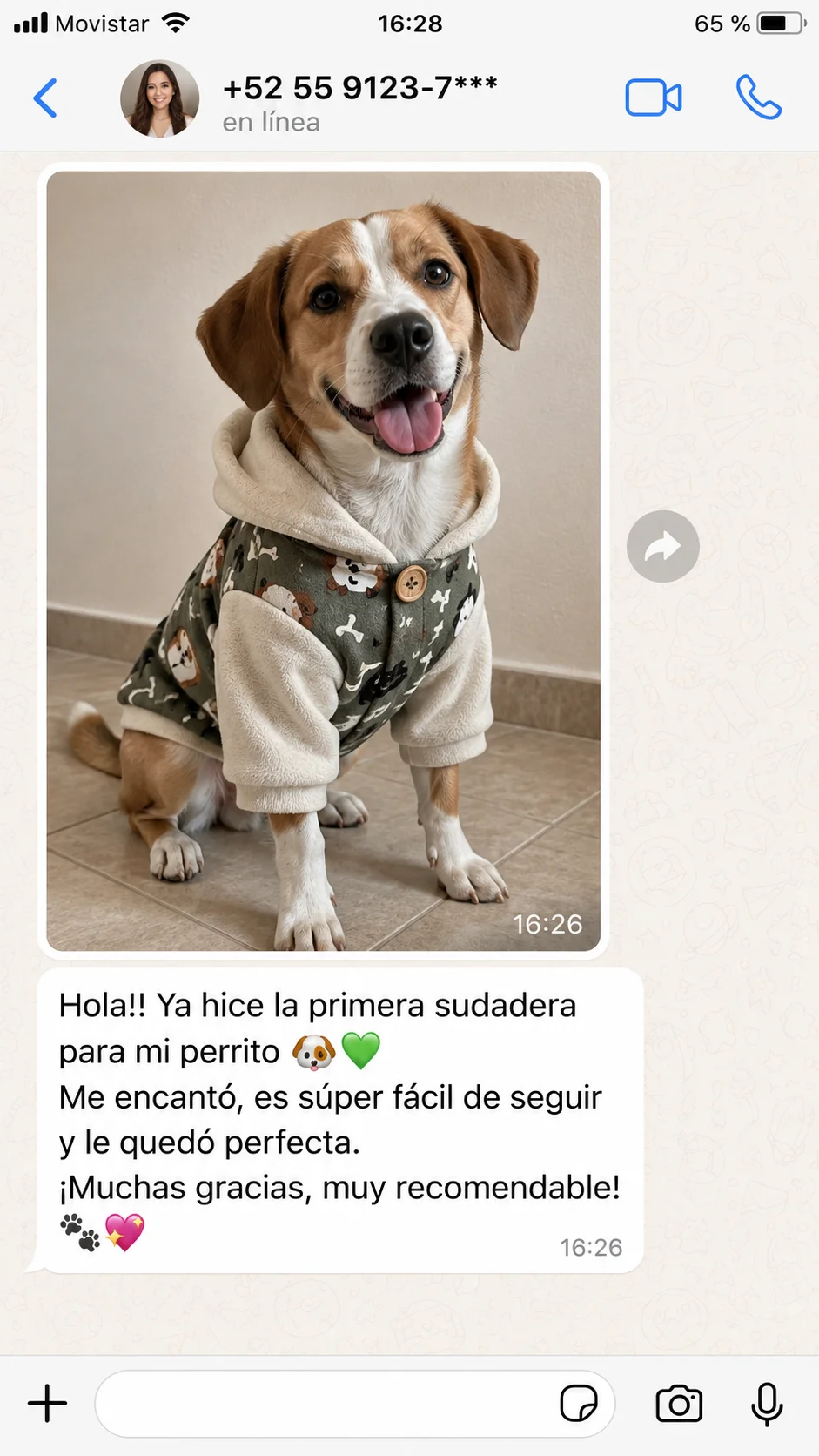Testimonio de compradora mostrando una sudadera para su perro